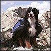 wy2002_r1_20.jpg