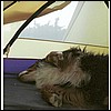 wy2002_r2_04.jpg