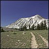 wy2002_r2_16.jpg