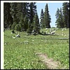 wy2002_r2_19.jpg
