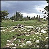 wy2002_r2_34.jpg