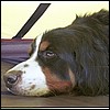 wy2002_r4_09.jpg