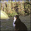 wy2002_r4_15.jpg