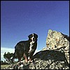 wy2002_r4_25.jpg