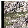 wy2002_r5_01.jpg
