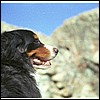 wy2002_r7_04.jpg