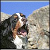 wy2002_r7_05.jpg