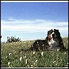 wy2002_r7_11.jpg