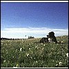 wy2002_r7_12.jpg